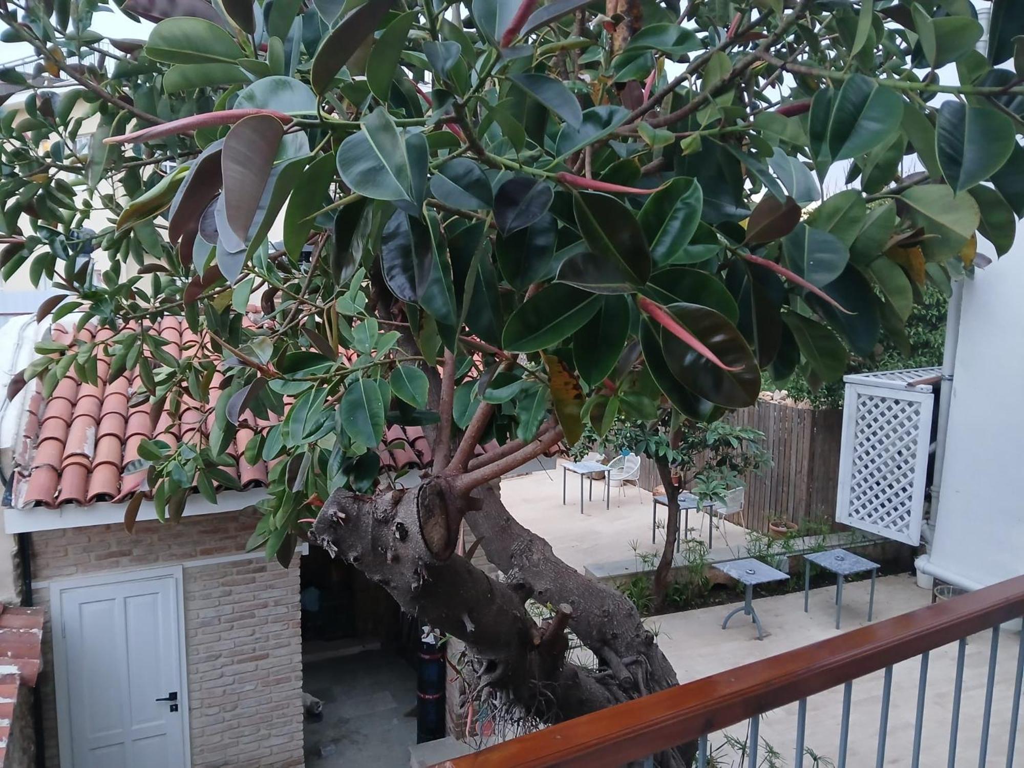 House Of Good Things Hotel Antalya Luaran gambar